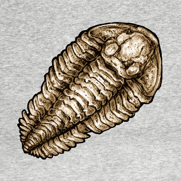 Calymene Trilobite Fossil Sticker by CassWArt